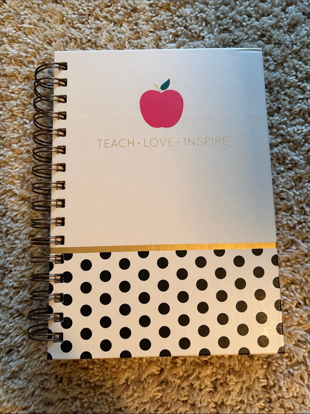 Teach • Love • Inspire Pink Apple Spiral Notebook